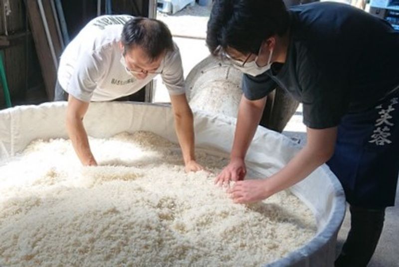 岩手町産の米麹