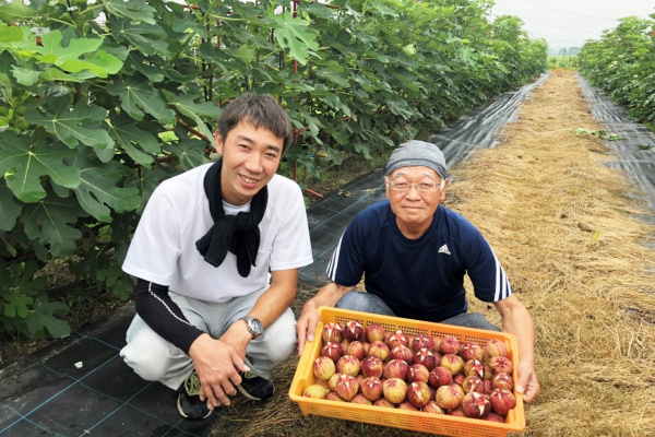 芳康いちじく園