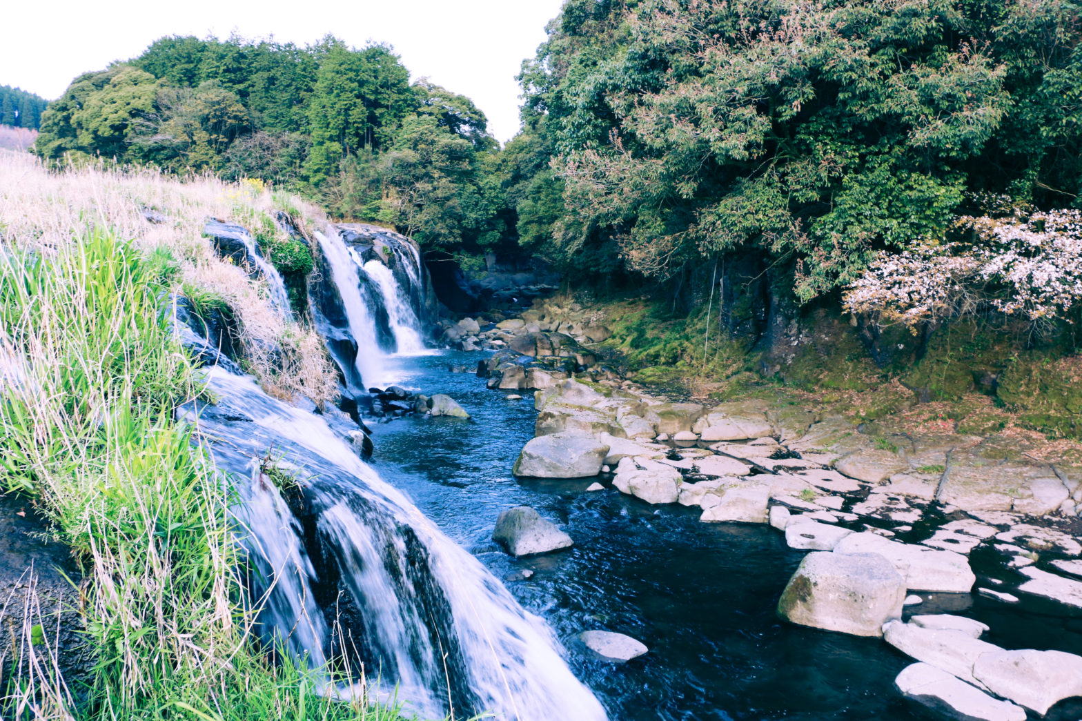 熊本県菊池市