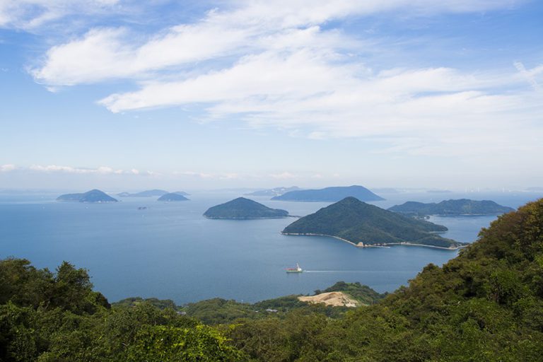 瀬戸内海の新鮮な小海老を“せんべい”でいただく