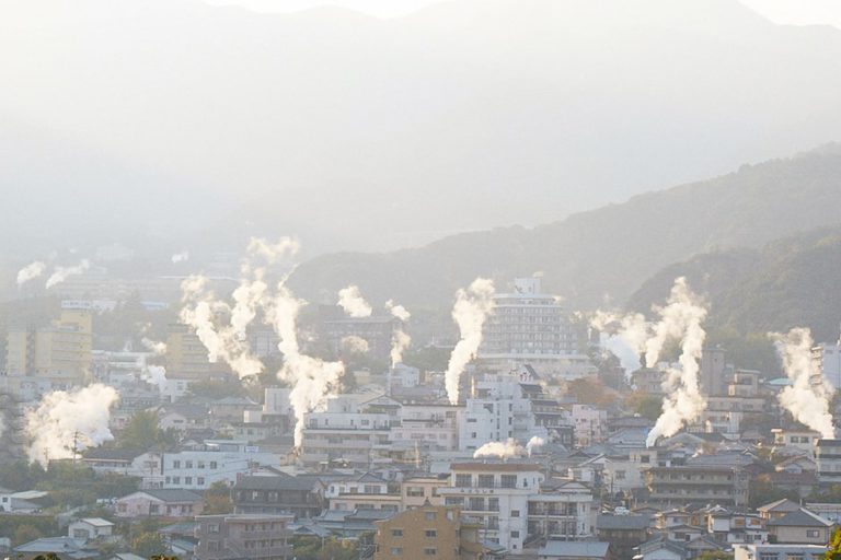 風土と人が作り出す美しい日本の椎茸