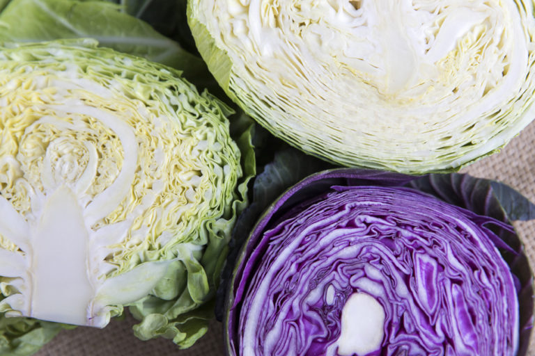 “旬”の万能野菜　キャベツ