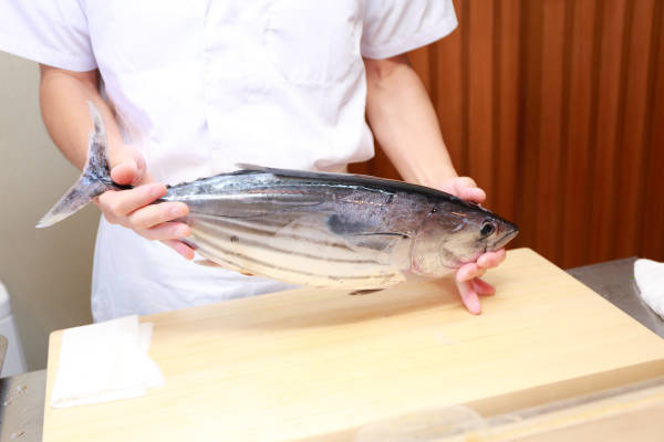 鰹