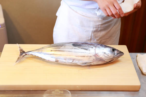 鰹