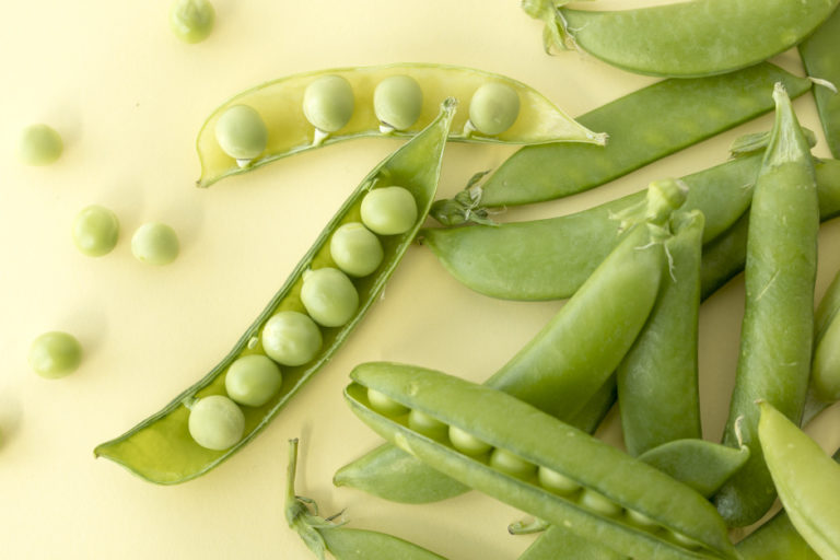 “The Vegetable of Spring, Peas”