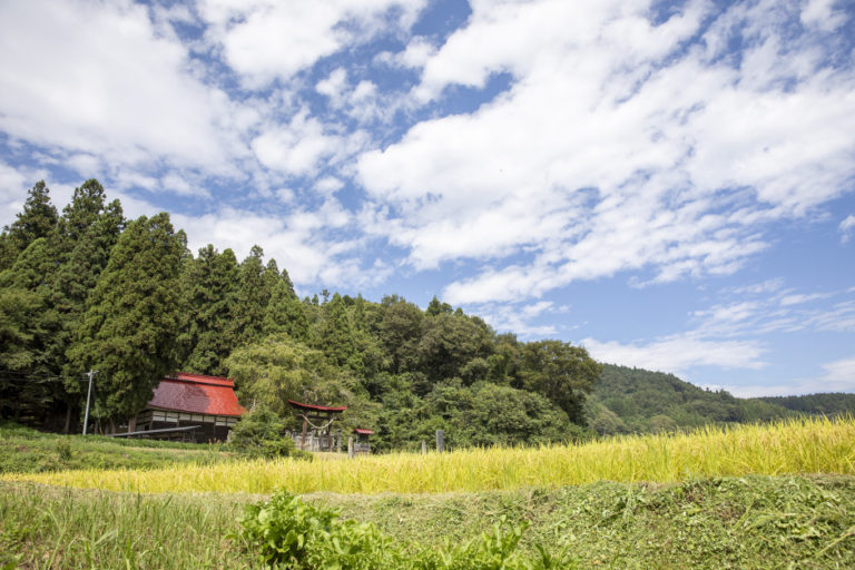飯綱町の美味を全国へ発信。食と農の未来をつくるアイデア