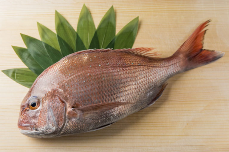 目利きが語る：春が“旬”の魚「桜鯛」　