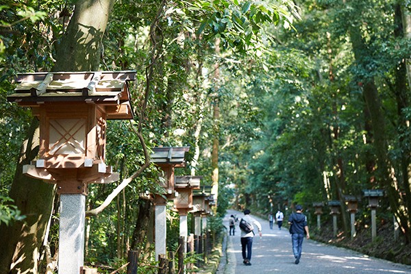 大神神社写真