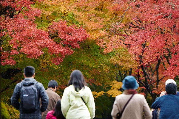 京都写真