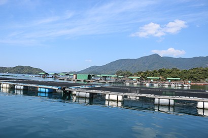 田脇水産写真