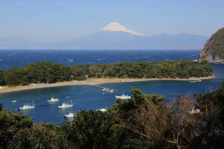 日本一深い湾で獲れる戸田の味覚 タカアシガニと手長エビ