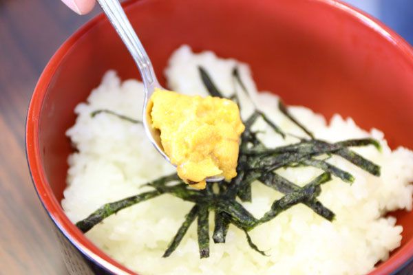 生ウニ丼写真