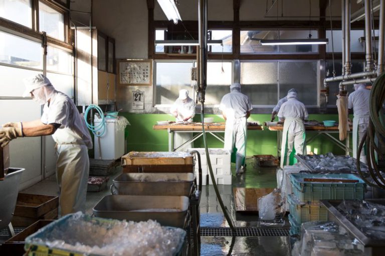 仙崎蒲鉾製造風景