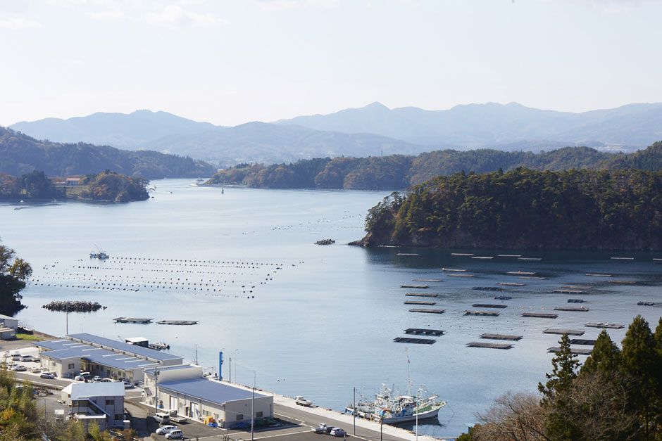 リアス式海岸写真