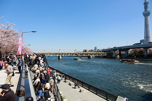隅田川