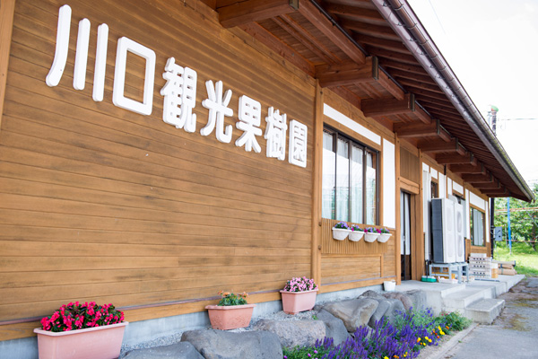 川口観光果樹園
