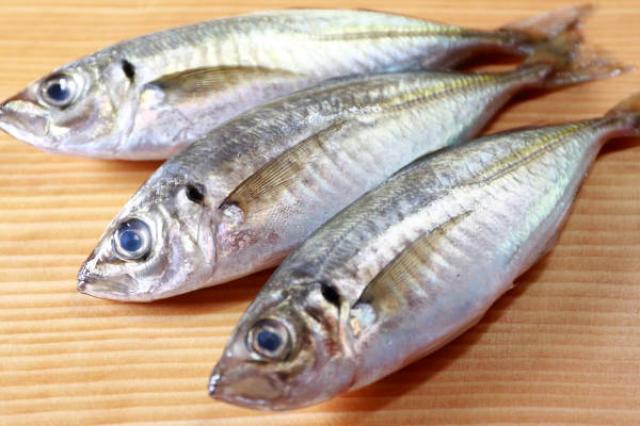 鰺