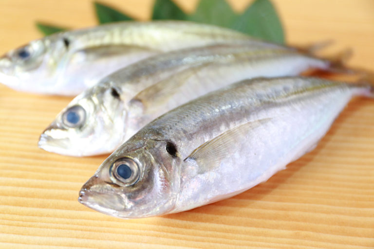 目利きが語る：“旬”の魚「アジ」を楽しむ