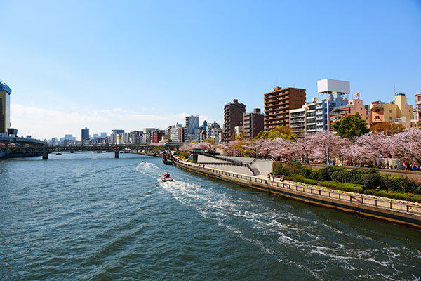 柳橋