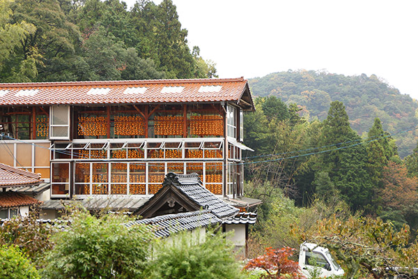 柿小屋写真