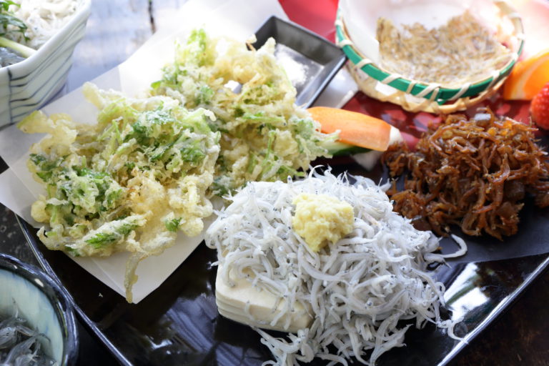 しらすやのしらすづくし定食