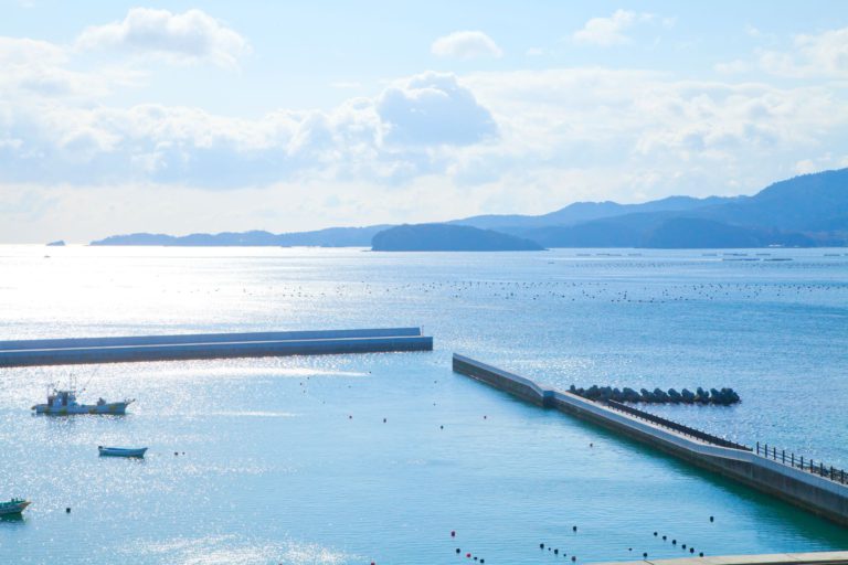 震災から10年。海里山と人の営みが循環するまちを目指して