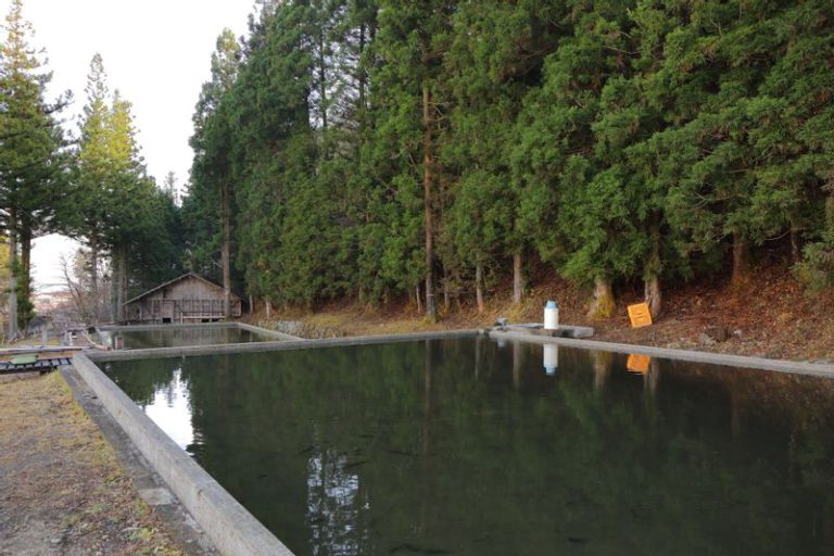 氷池