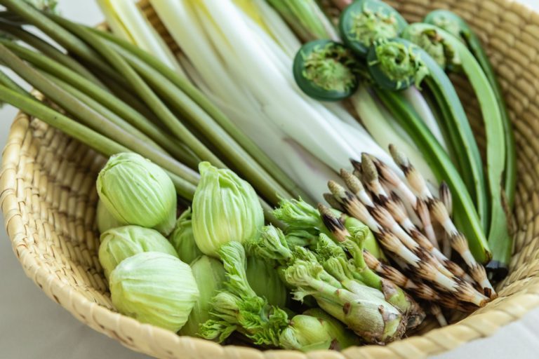 With 300 Edible Varieties, Sansai Brings the Breath of Spring
