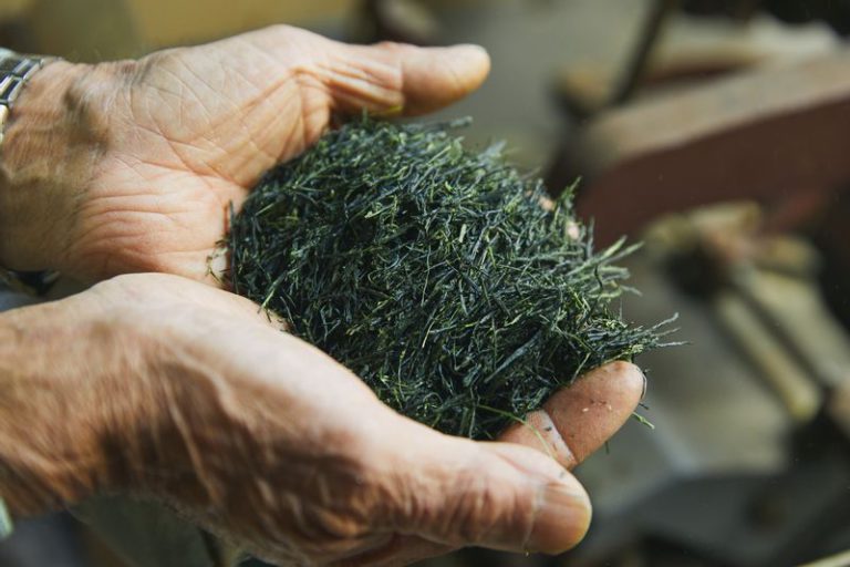 つやのある茶葉
