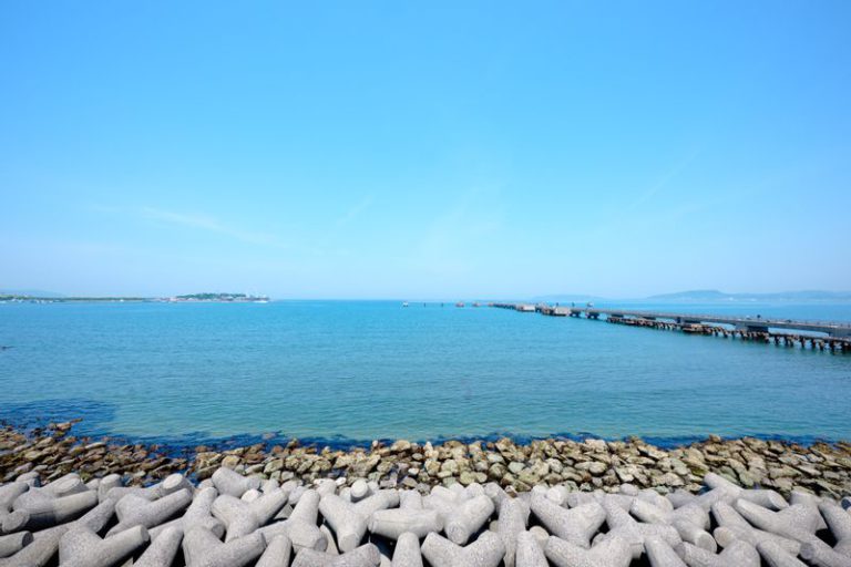 房総半島の風景