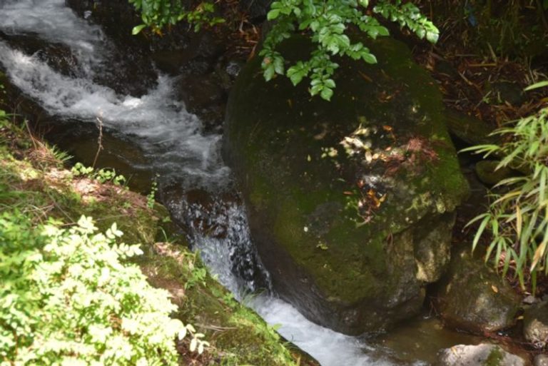 丹沢の湧き水