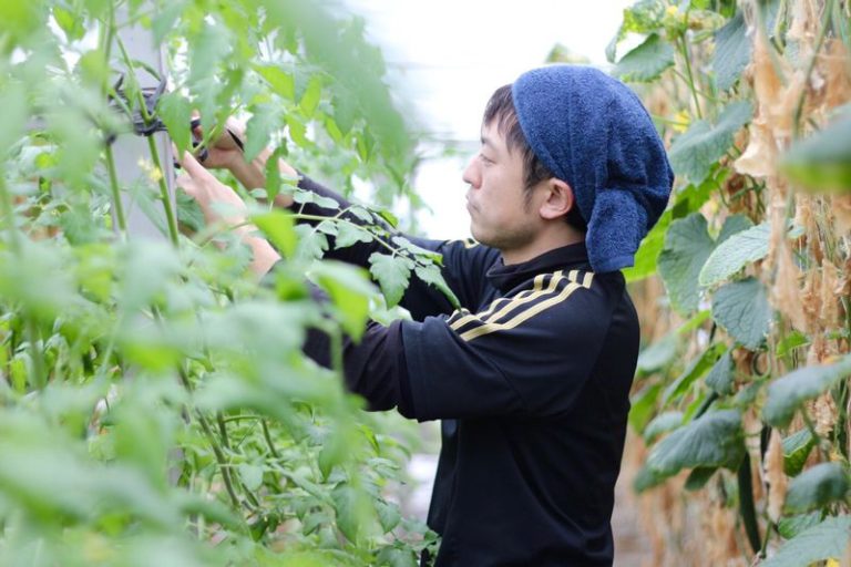 若松さん