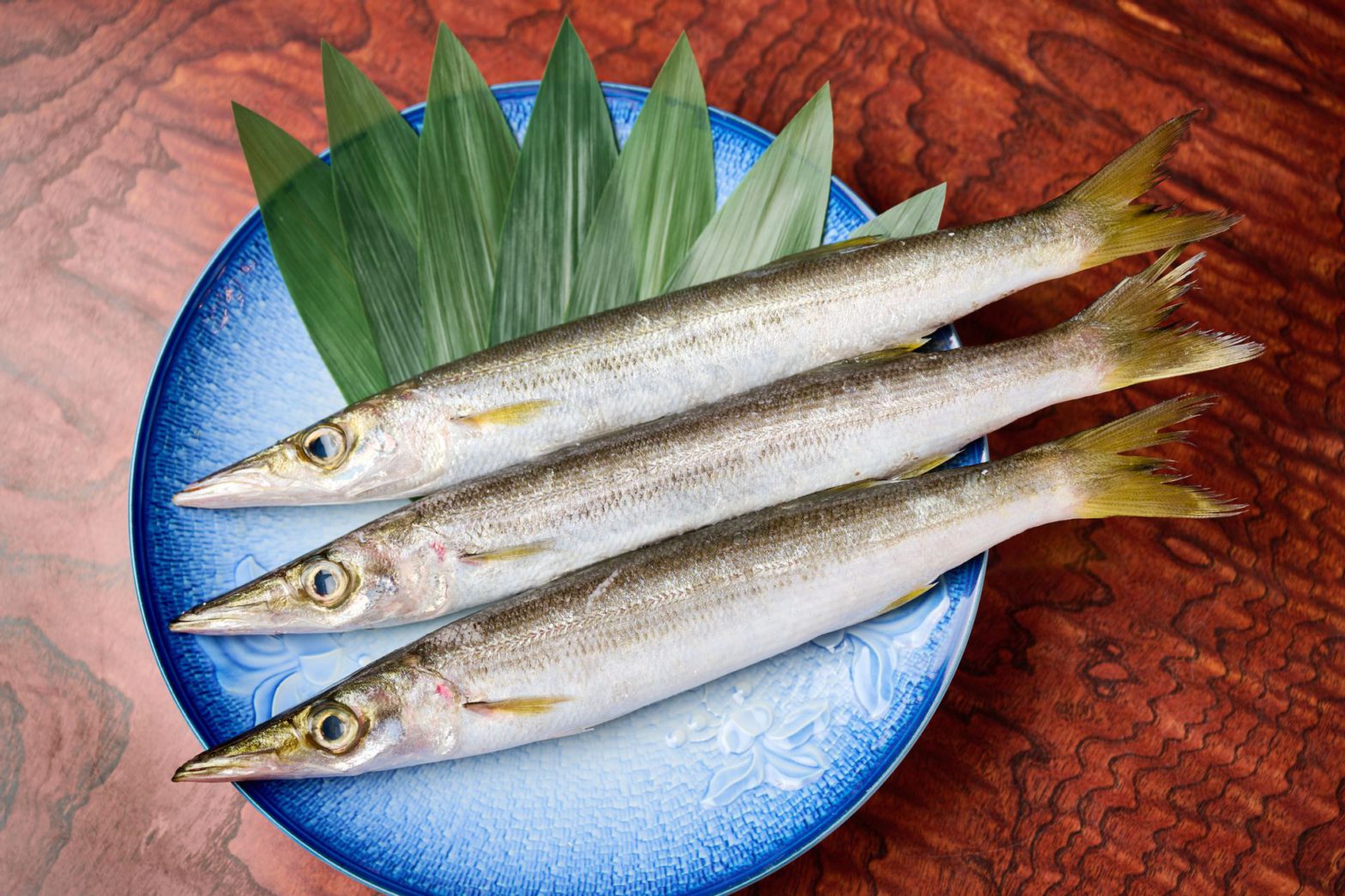 カマス