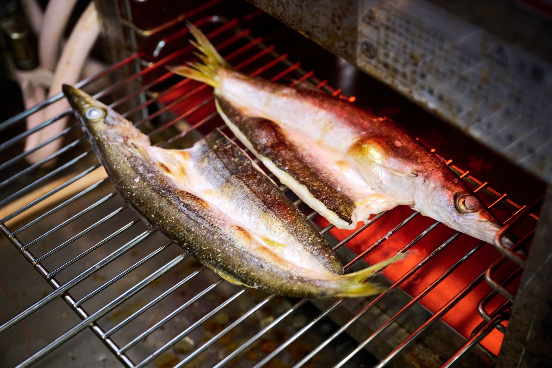 カマスを皮の側から焼いている様子