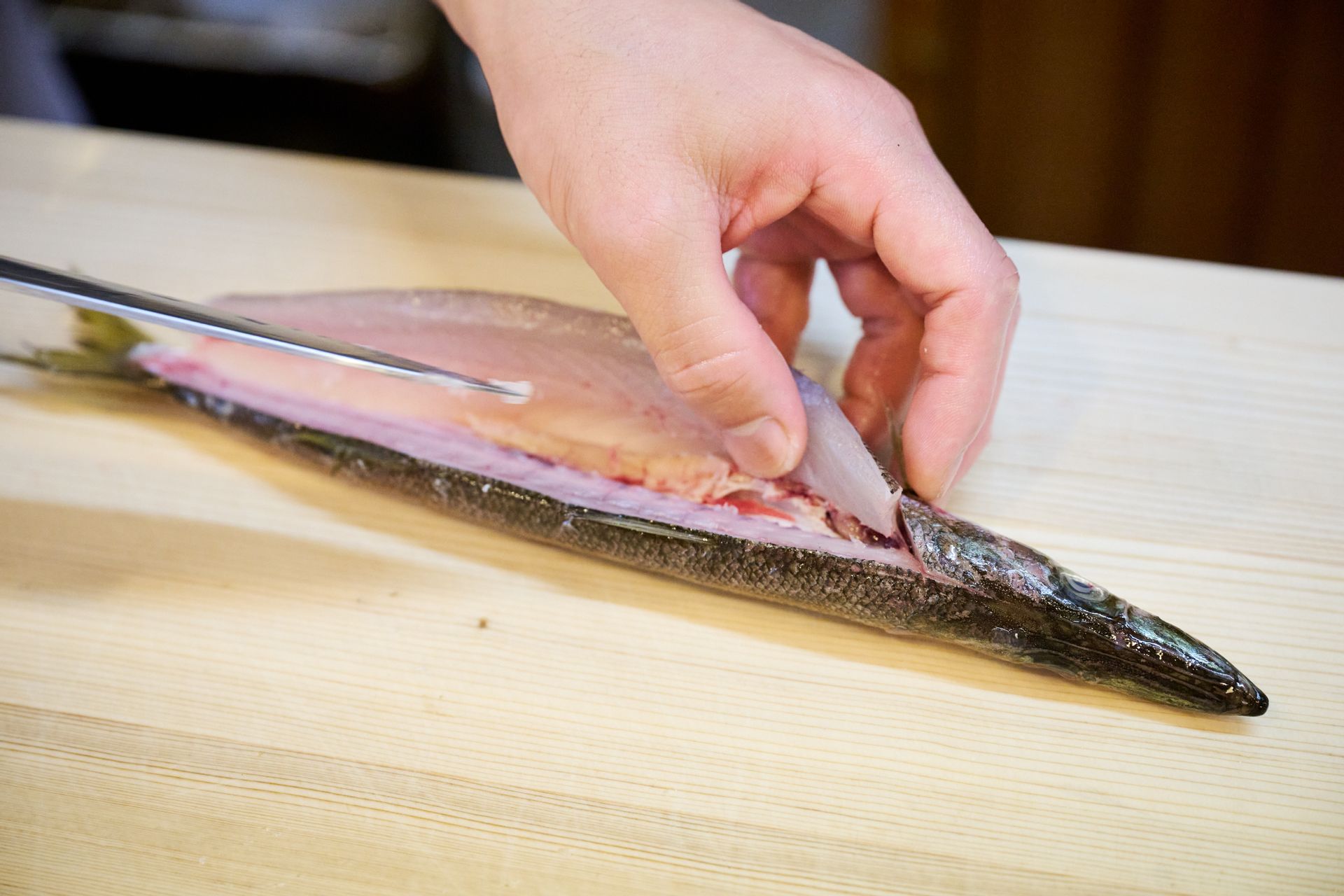 カマスのお腹を開いている様子