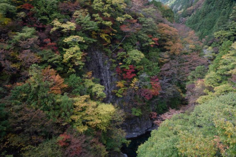 中津川市