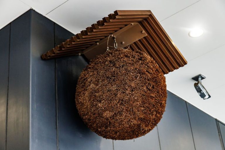 酒林（杉玉）