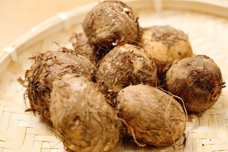 ハレの日の食材「里芋」