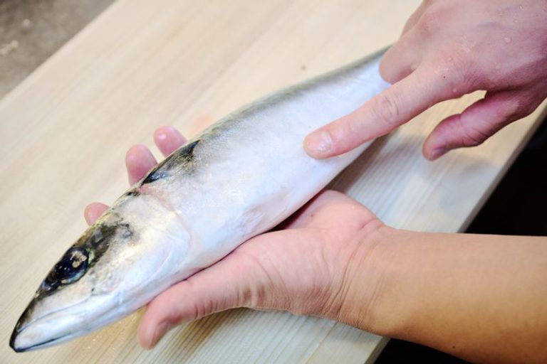 サバのお腹