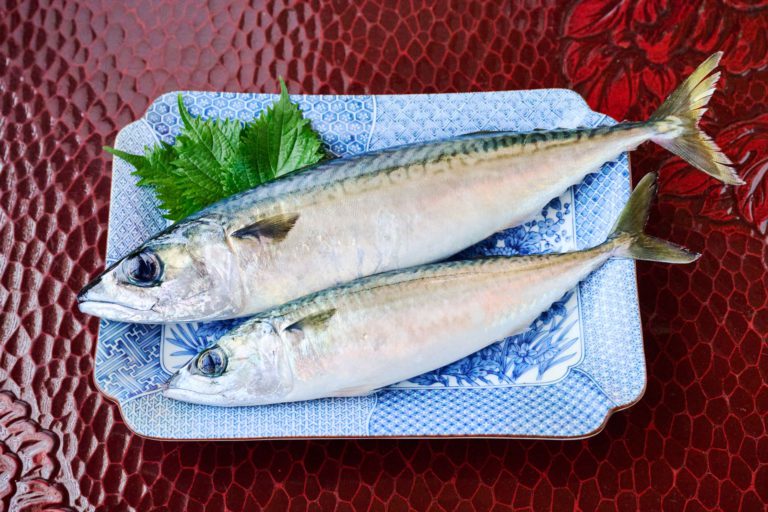 目利きが語る：旬の魚「サバ」を楽しむ
