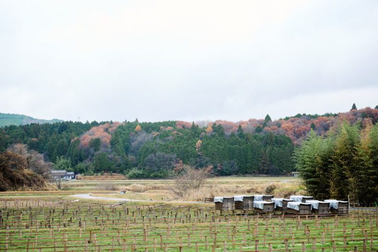 山岡町の風景
