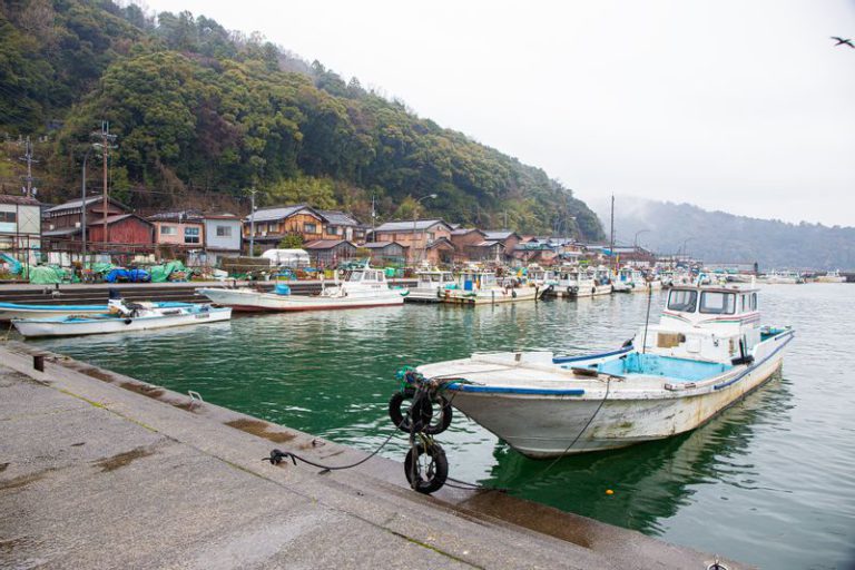 沖島の様子