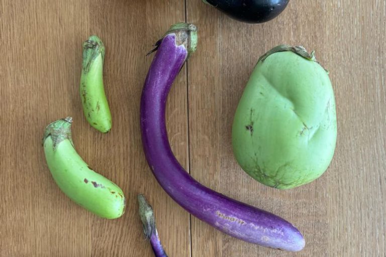 規格外野菜たち